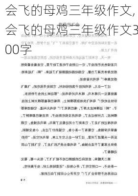 会飞的母鸡三年级作文,会飞的母鸡三年级作文300字