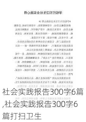 社会实践报告300字6篇,社会实践报告300字6篇打扫卫生