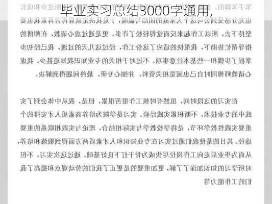 毕业实习总结3000字通用,