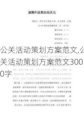 公关活动策划方案范文,公关活动策划方案范文3000字