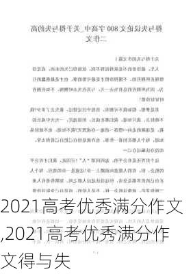 2021高考优秀满分作文,2021高考优秀满分作文得与失