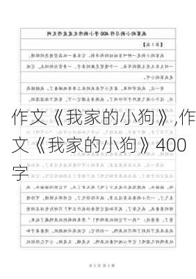 作文《我家的小狗》,作文《我家的小狗》400字