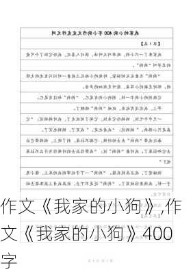 作文《我家的小狗》,作文《我家的小狗》400字