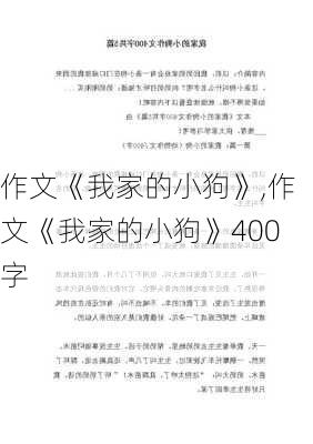 作文《我家的小狗》,作文《我家的小狗》400字