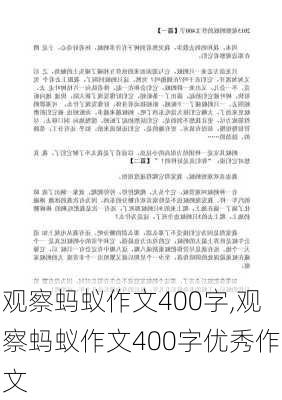 观察蚂蚁作文400字,观察蚂蚁作文400字优秀作文