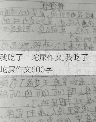 我吃了一坨屎作文,我吃了一坨屎作文600字