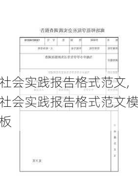 社会实践报告格式范文,社会实践报告格式范文模板