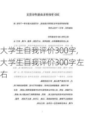 大学生自我评价300字,大学生自我评价300字左右