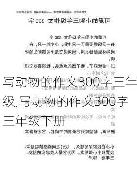 写动物的作文300字三年级,写动物的作文300字三年级下册