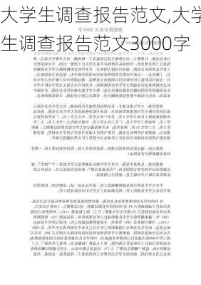 大学生调查报告范文,大学生调查报告范文3000字