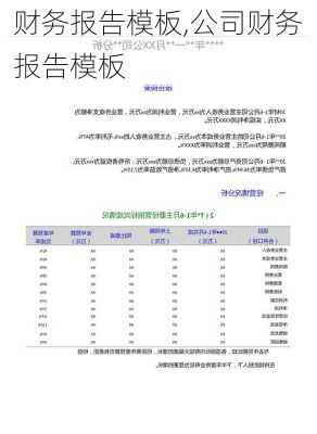 财务报告模板,公司财务报告模板