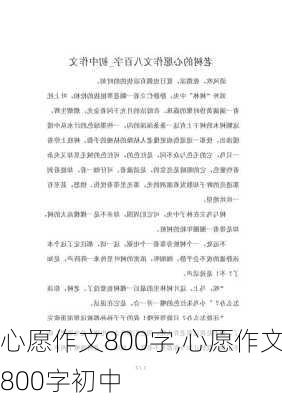 心愿作文800字,心愿作文800字初中