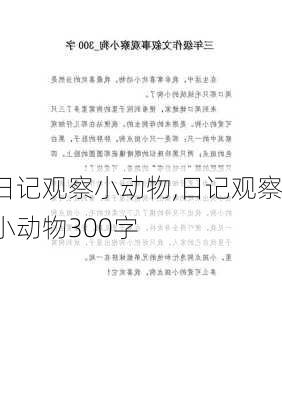 日记观察小动物,日记观察小动物300字