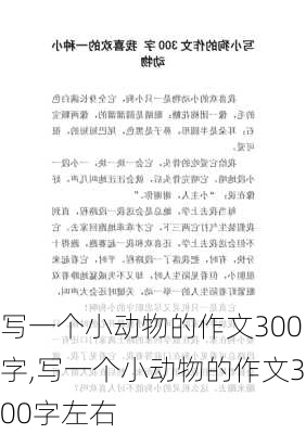 写一个小动物的作文300字,写一个小动物的作文300字左右