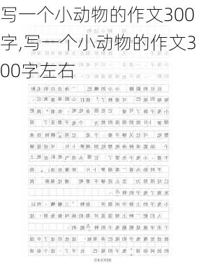 写一个小动物的作文300字,写一个小动物的作文300字左右