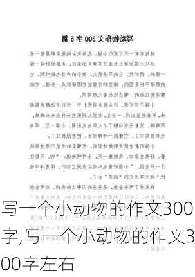 写一个小动物的作文300字,写一个小动物的作文300字左右