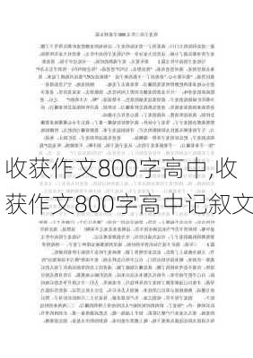 收获作文800字高中,收获作文800字高中记叙文