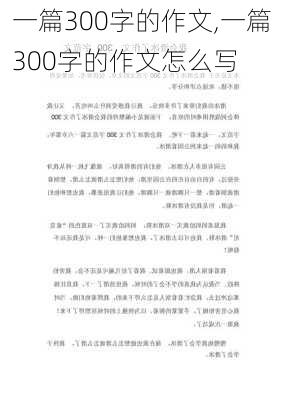 一篇300字的作文,一篇300字的作文怎么写