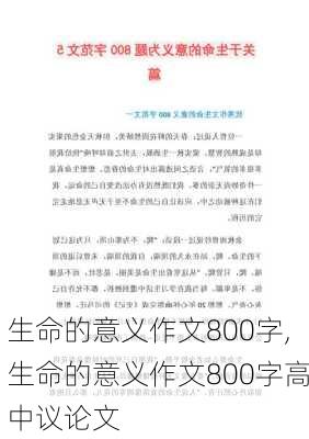 生命的意义作文800字,生命的意义作文800字高中议论文