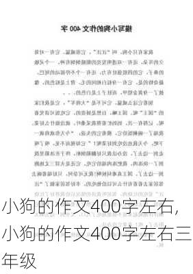 小狗的作文400字左右,小狗的作文400字左右三年级