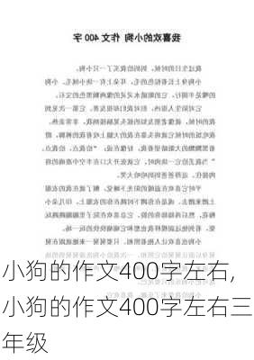 小狗的作文400字左右,小狗的作文400字左右三年级