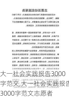 大一社会实践报告3000字范文,大一社会实践报告3000字范文志愿者