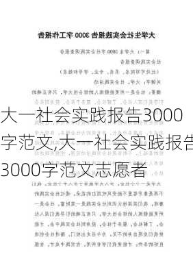 大一社会实践报告3000字范文,大一社会实践报告3000字范文志愿者