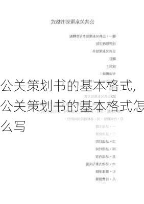 公关策划书的基本格式,公关策划书的基本格式怎么写