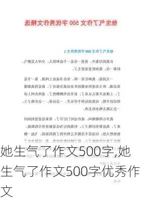 她生气了作文500字,她生气了作文500字优秀作文