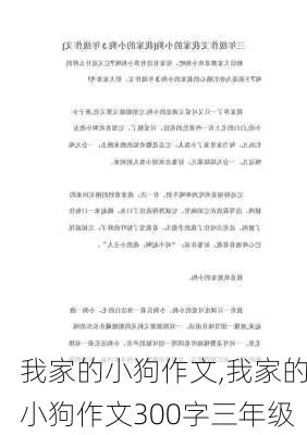 我家的小狗作文,我家的小狗作文300字三年级