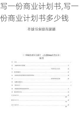 写一份商业计划书,写一份商业计划书多少钱