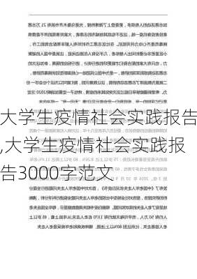 大学生疫情社会实践报告,大学生疫情社会实践报告3000字范文