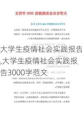 大学生疫情社会实践报告,大学生疫情社会实践报告3000字范文