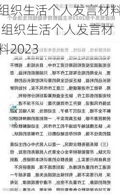 组织生活个人发言材料,组织生活个人发言材料2023