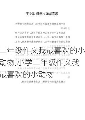 二年级作文我最喜欢的小动物,小学二年级作文我最喜欢的小动物