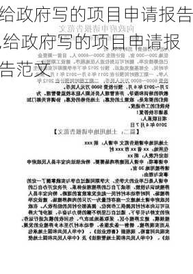 给政府写的项目申请报告,给政府写的项目申请报告范文