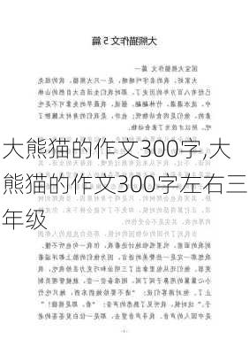 大熊猫的作文300字,大熊猫的作文300字左右三年级