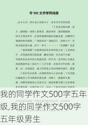 我的同学作文500字五年级,我的同学作文500字五年级男生