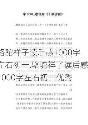 骆驼祥子读后感1000字左右初一,骆驼祥子读后感1000字左右初一优秀