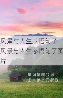 风景与人生感悟句子,风景与人生感悟句子图片