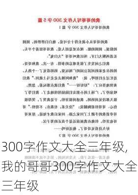 300字作文大全三年级,我的哥哥300字作文大全三年级