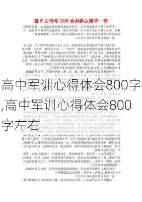 高中军训心得体会800字,高中军训心得体会800字左右