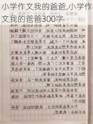 小学作文我的爸爸,小学作文我的爸爸300字