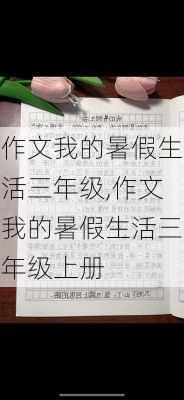 作文我的暑假生活三年级,作文我的暑假生活三年级上册