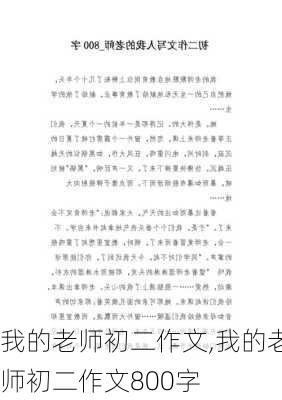 我的老师初二作文,我的老师初二作文800字