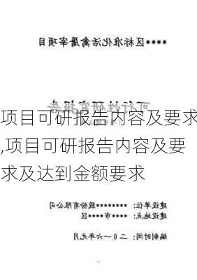 项目可研报告内容及要求,项目可研报告内容及要求及达到金额要求