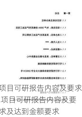 项目可研报告内容及要求,项目可研报告内容及要求及达到金额要求