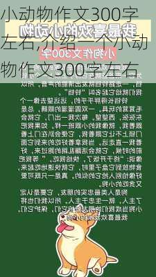 小动物作文300字左右,介绍一个小动物作文300字左右