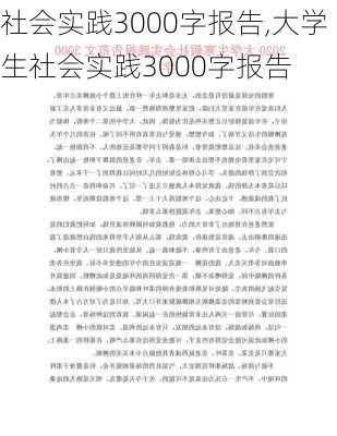 社会实践3000字报告,大学生社会实践3000字报告