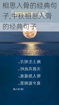 相思入骨的经典句子,中秋相思入骨的经典句子